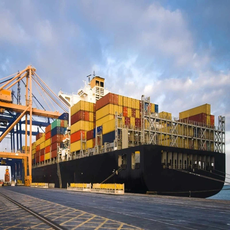 Sea Cargo International Sea Cargo International